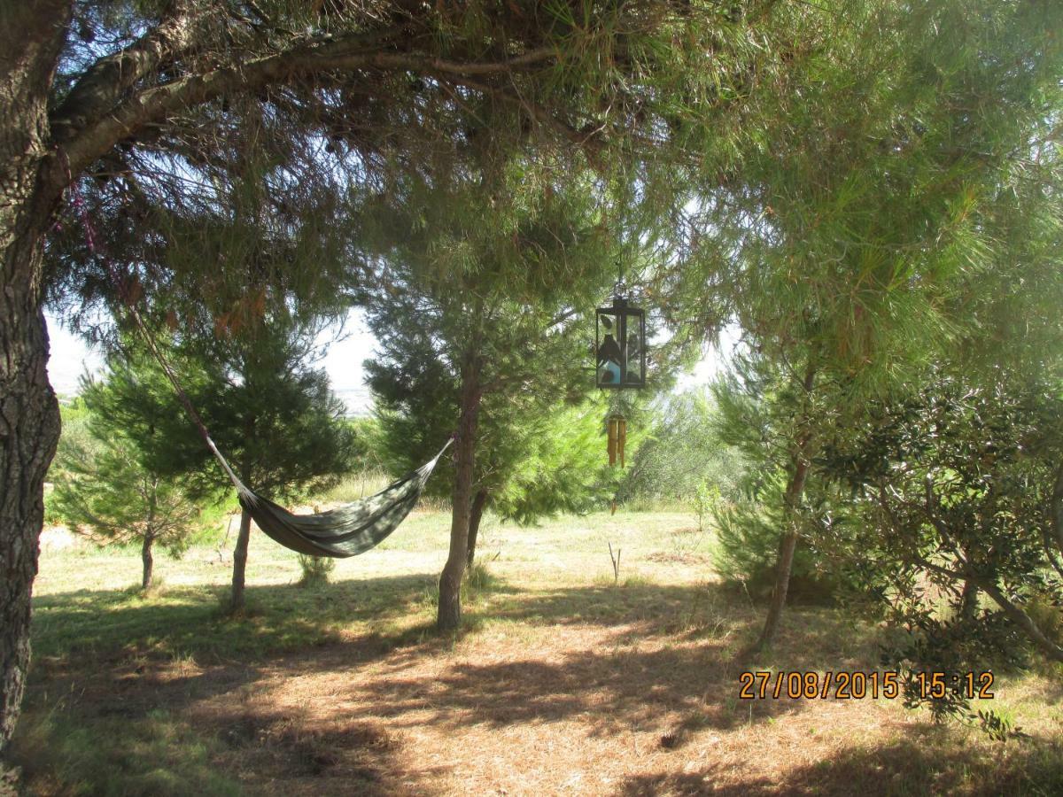 B&B Curica Doma Donje Polje Exterior foto